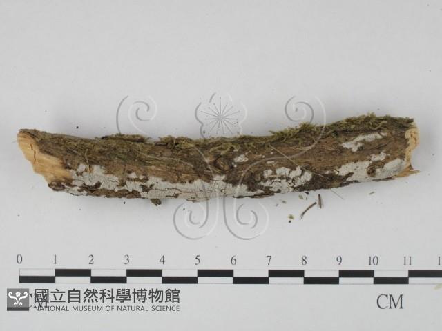 登錄號:F0001363藏品圖，第4張