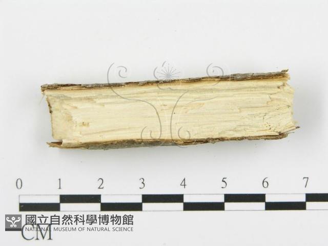 登錄號:F0012223藏品圖，第4張
