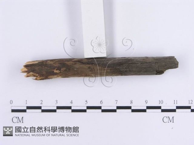 登錄號:F0013623藏品圖，第4張