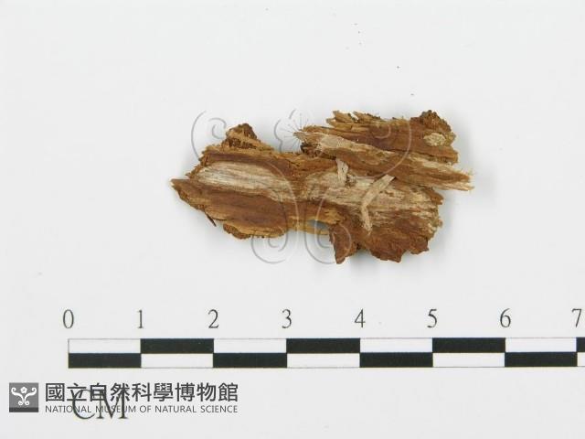 登錄號:F0000423藏品圖，第4張