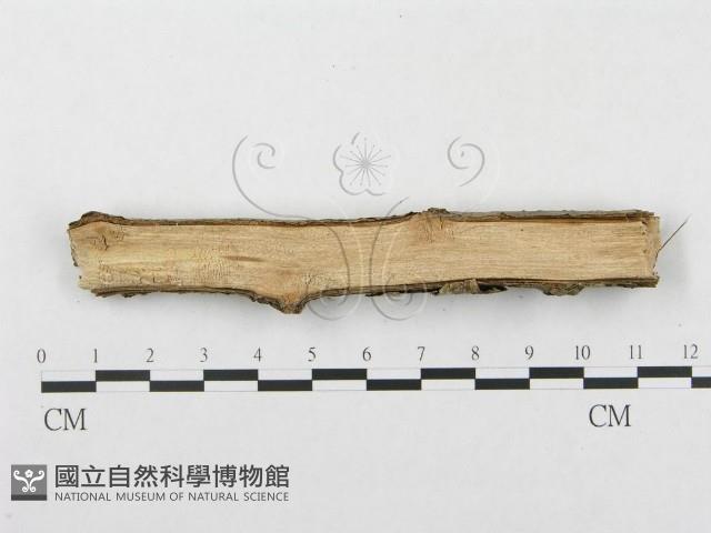 登錄號:F0002723藏品圖，第4張