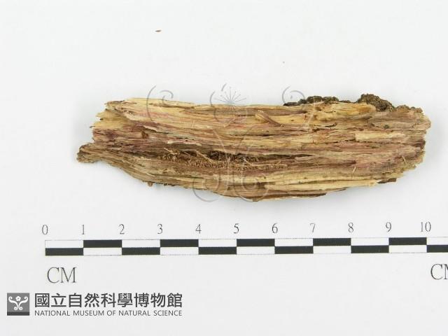 登錄號:F0020523藏品圖，第4張
