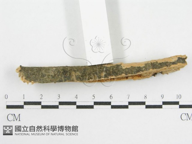 登錄號:F0002523藏品圖，第4張