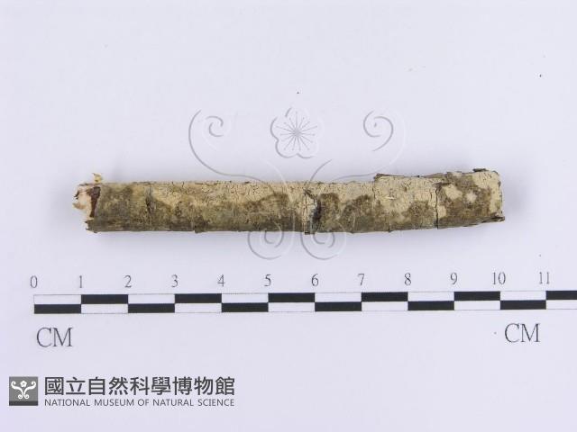 登錄號:F0012123藏品圖，第4張