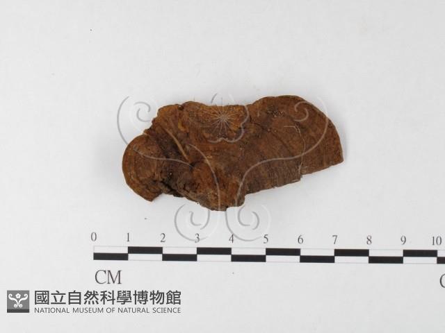 登錄號:F0026203藏品圖，第4張