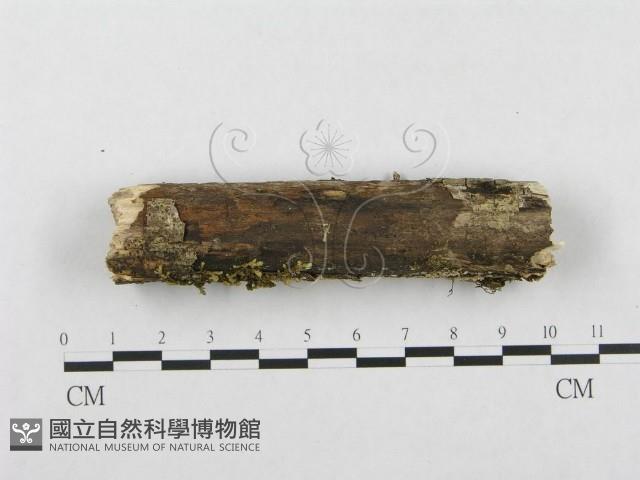 登錄號:F0001203藏品圖，第4張