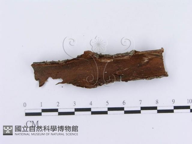 登錄號:F0012203藏品圖，第4張