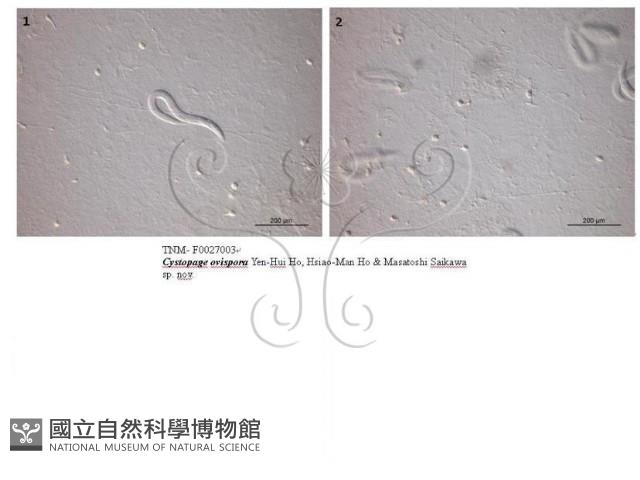 登錄號:F0027003藏品圖，第4張