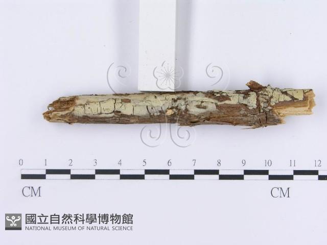 登錄號:F0003003藏品圖，第4張