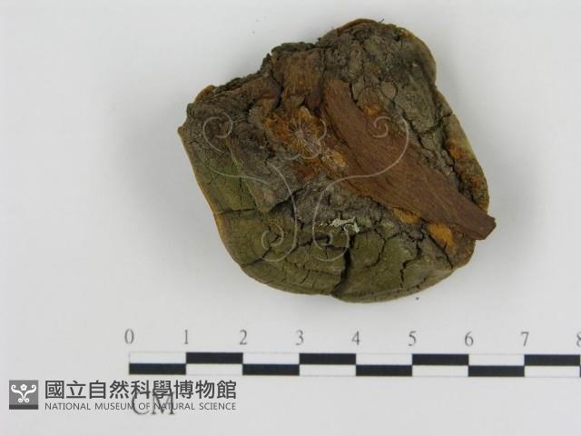 登錄號:F0018813藏品圖，第4張
