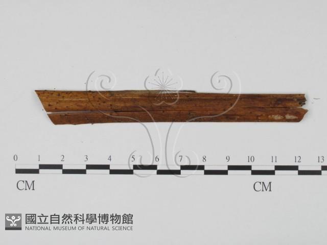 登錄號:F0007713藏品圖，第4張