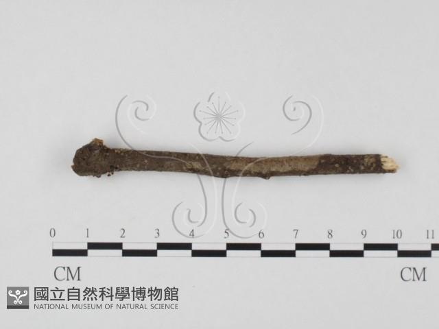 登錄號:F0023313藏品圖，第4張