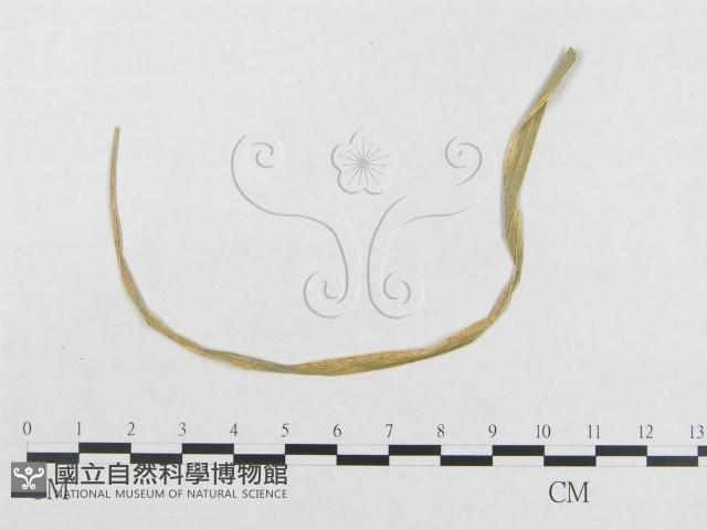 登錄號:F0018953藏品圖，第4張