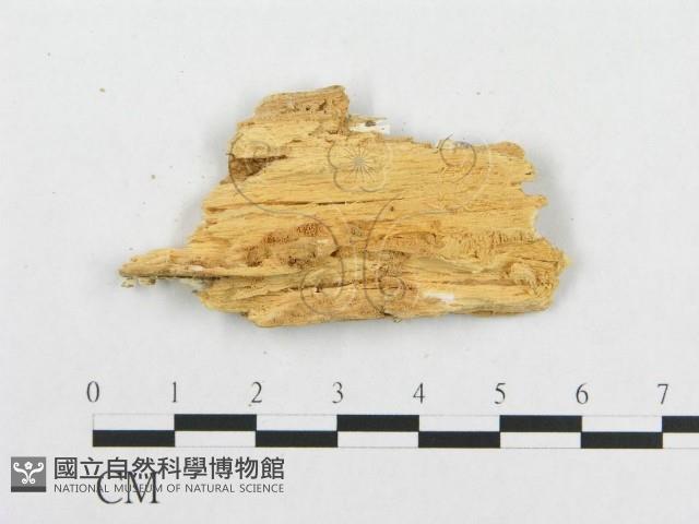 登錄號:F0019953藏品圖，第4張