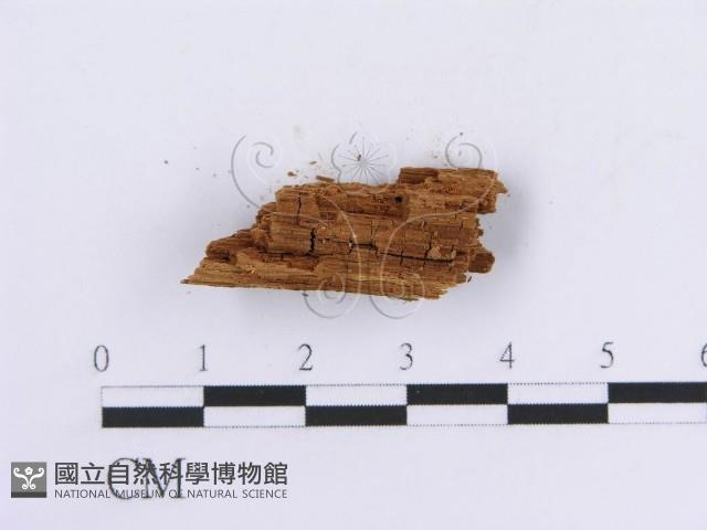 登錄號:F0016753藏品圖，第4張