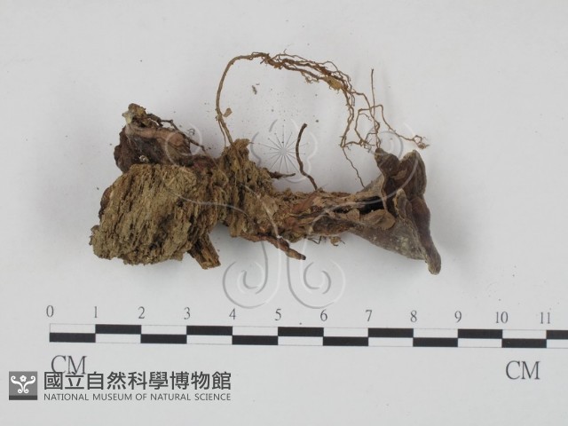 登錄號:F0002753藏品圖，第4張