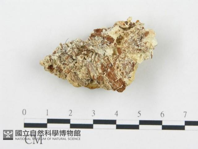 登錄號:F0014053藏品圖，第4張