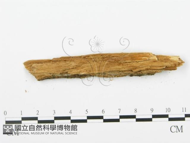 登錄號:F0005743藏品圖，第4張