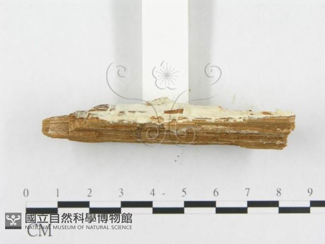 登錄號:F0007143藏品圖，第4張