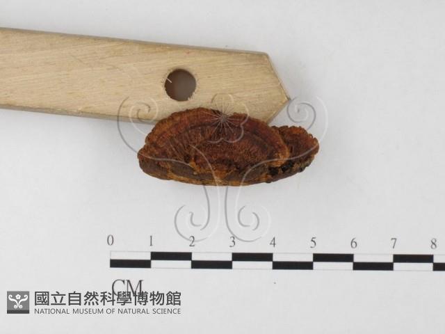登錄號:F0026043藏品圖，第4張