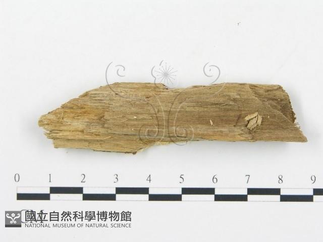 登錄號:F0013933藏品圖，第4張