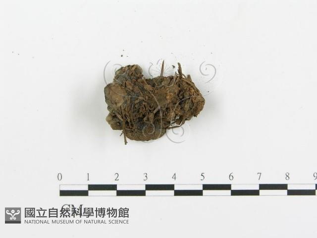 登錄號:F0013633藏品圖，第4張