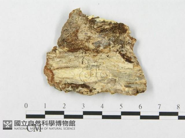 登錄號:F0017573藏品圖，第4張