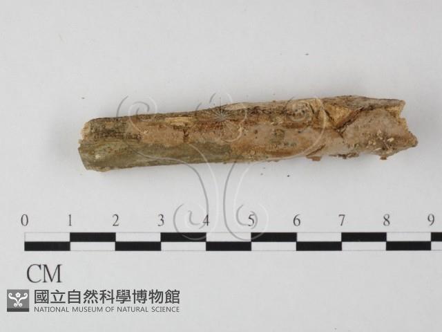 登錄號:F0012073藏品圖，第4張