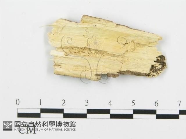登錄號:F0017373藏品圖，第4張
