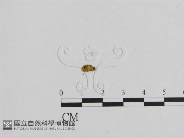 登錄號:F0010268藏品圖，第3張