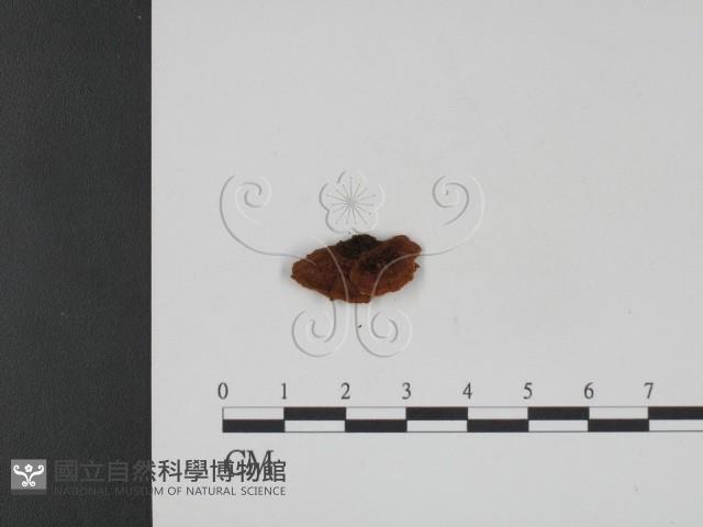 登錄號:F0002268藏品圖，第3張