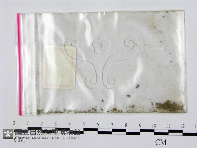 登錄號:F0000668藏品圖，第3張