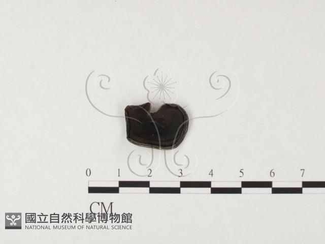 登錄號:F0026668藏品圖，第3張