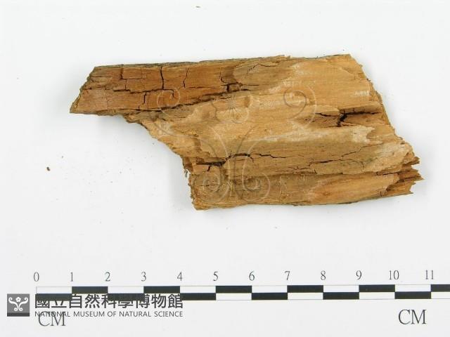 登錄號:F0006668藏品圖，第3張