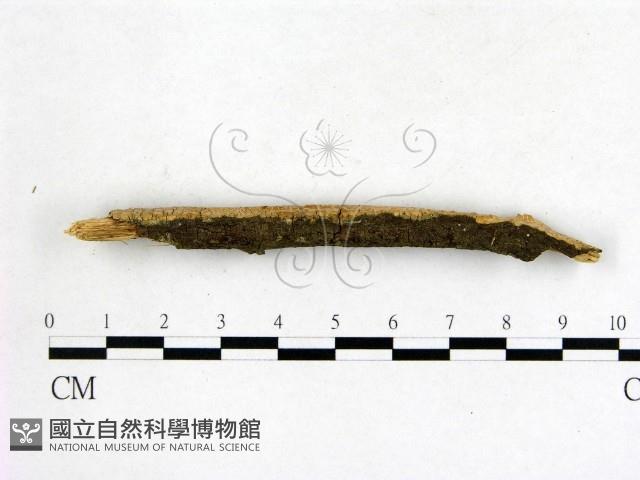 登錄號:F0014668藏品圖，第3張