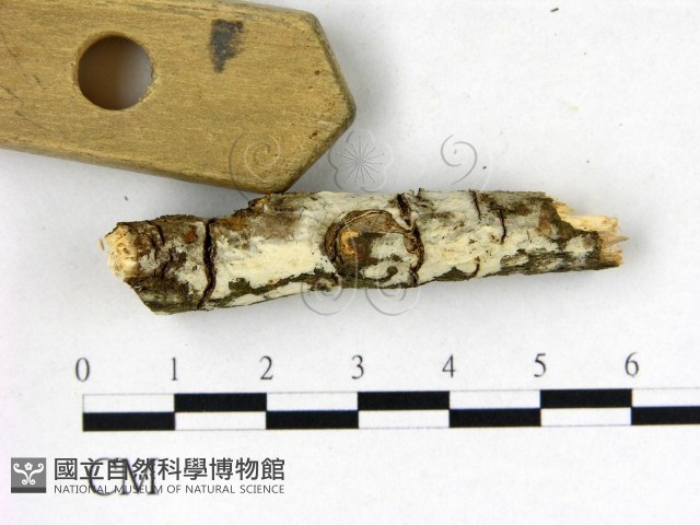 登錄號:F0022668藏品圖，第3張