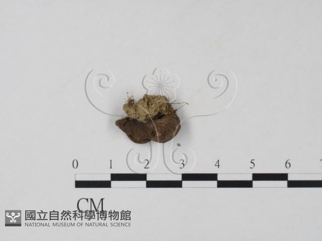 登錄號:F0007668藏品圖，第3張