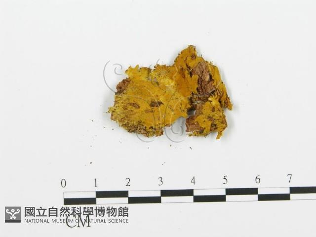 登錄號:F0017668藏品圖，第1張