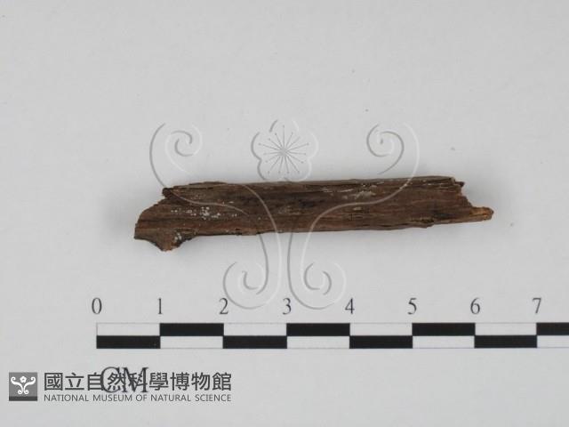 登錄號:F0019668藏品圖，第3張