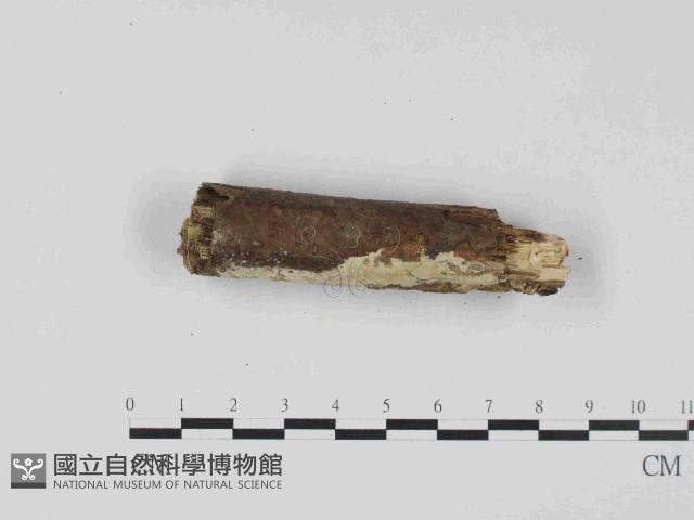 登錄號:F0023668藏品圖，第3張