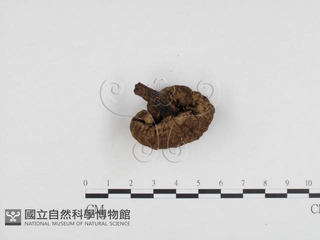 登錄號:F0024468藏品圖，第3張