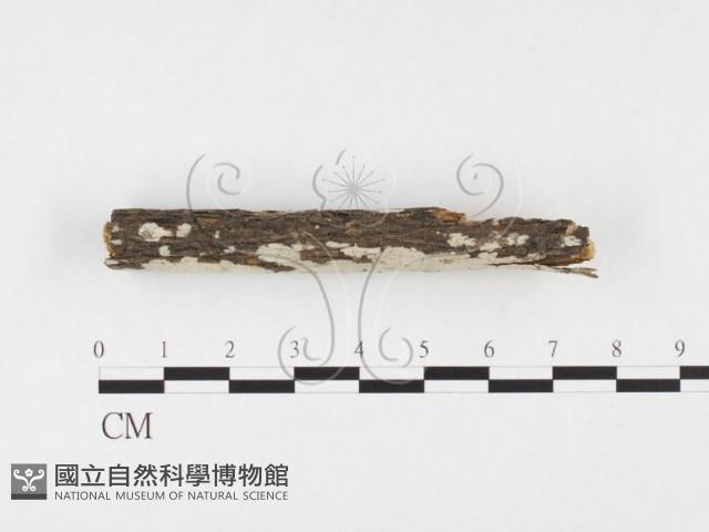 登錄號:F0026768藏品圖，第3張