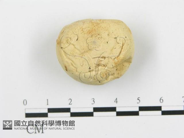 登錄號:F0005768藏品圖，第3張