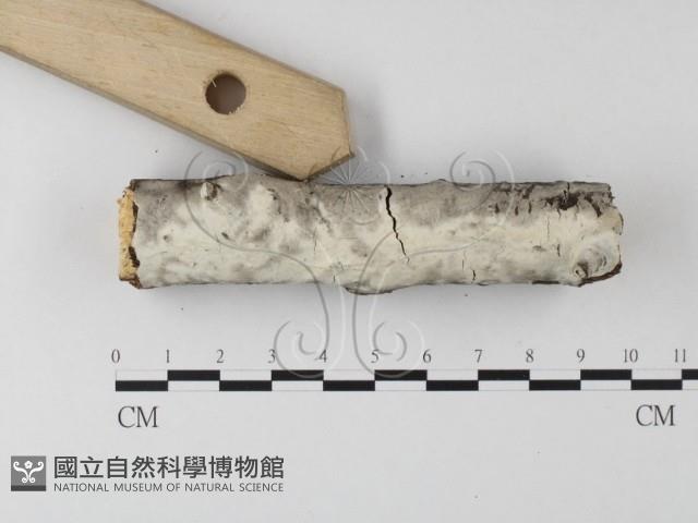 登錄號:F0023768藏品圖，第3張