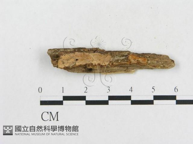 登錄號:F0006568藏品圖，第3張