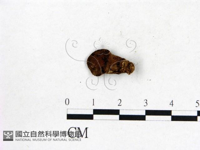 登錄號:F0000168藏品圖，第3張
