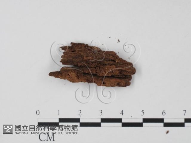 登錄號:F0010168藏品圖，第3張