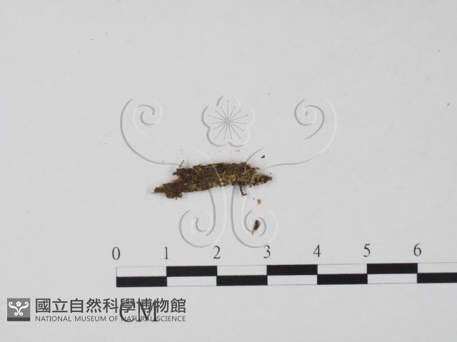 登錄號:F0001168藏品圖，第3張