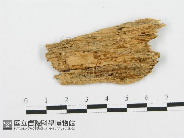 登錄號:F0017168藏品圖，第3張