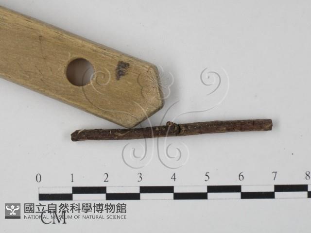 Accession Number:F0003168 Collection Image, Figure 3, Total 3 Figures